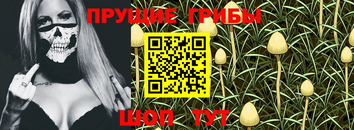 Галлюциногенные грибы Psilocybe  Галлюциногенные грибы Cubensis  Вход с VPN  Егорьевск 